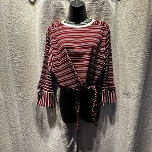 4 for $10!!! 90’s Topenga-Style EVIDNT Los Angeles Striped Cropped Tie Shirt